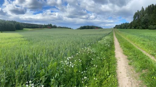 På toppen av bakken fra Gjerdal
