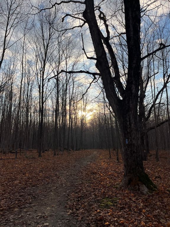 Tom Thomson Trail Owen Sound to Meaford 41.4 km Cycling Route on Strava