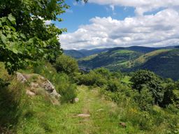 Mtb VTT grande boucle de la bresse