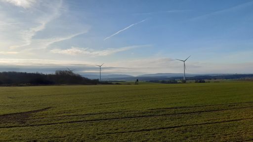 Der Soonwald im Hintergrund.