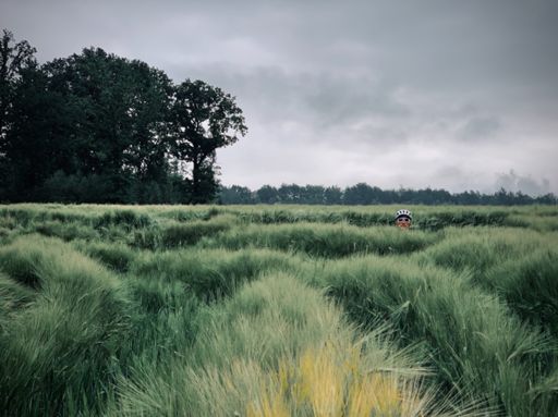 Jak dupek zza krzaka.