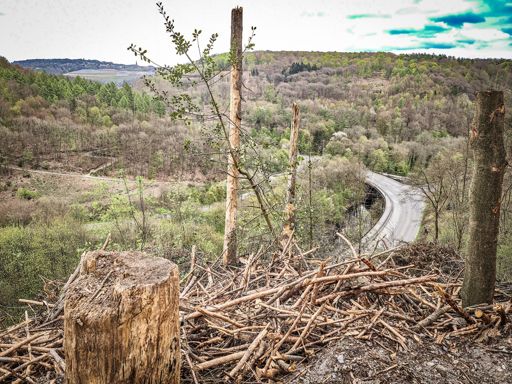 Frei Sicht auf die Müngstener Kreuzung.
