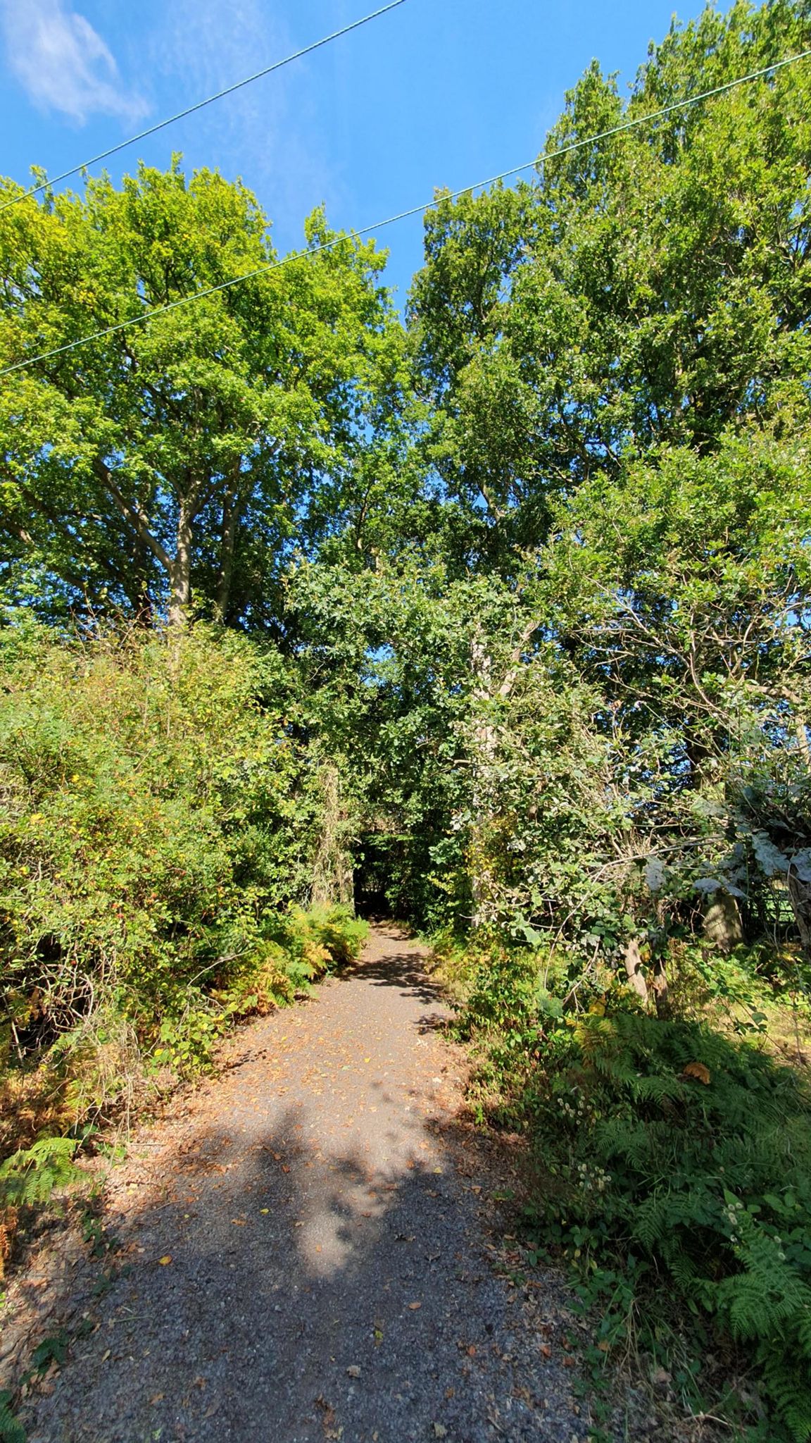 Keith Reed Strava Cyclist Profile