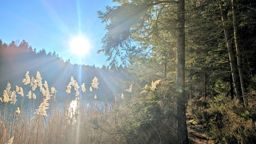 Trail au lac avec mon neveu