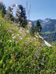 Rando via ferrata Fruttstägä, spilauersee, fulen