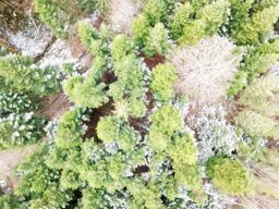 Balade roche du diable