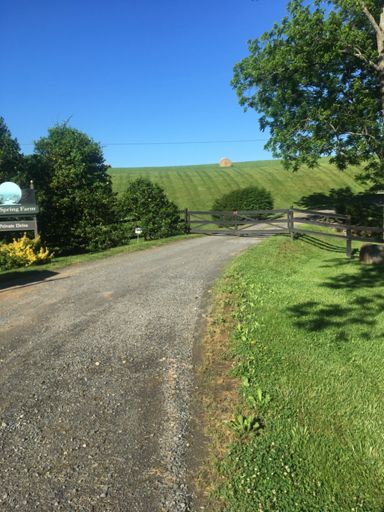 Google maps didn't tell me this road was private