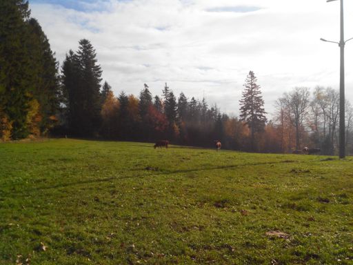 oberhalb von Sallneck