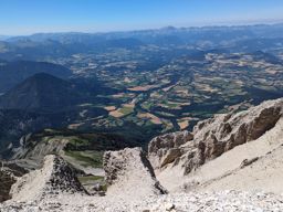 Tête de Lapras et la Cavale par le Nid