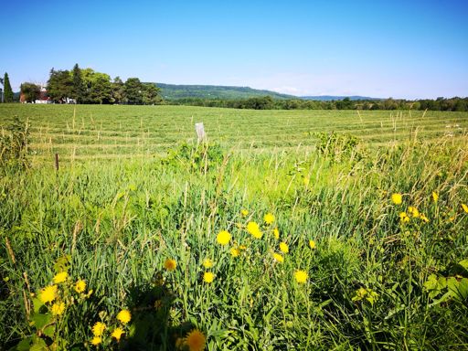 Scenic Caves awaits...