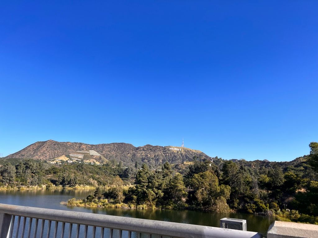 NBB run - Lake Hollywood: фото 130