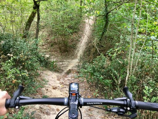 Quelles pentes en forêt d’Eaunes 😅