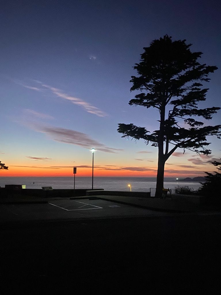 Butterlap (Presidio & Golden Gate Park) photo 112