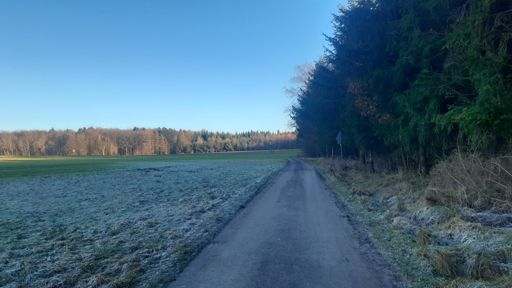 Radweg Frankweiler-Lingerhahn.