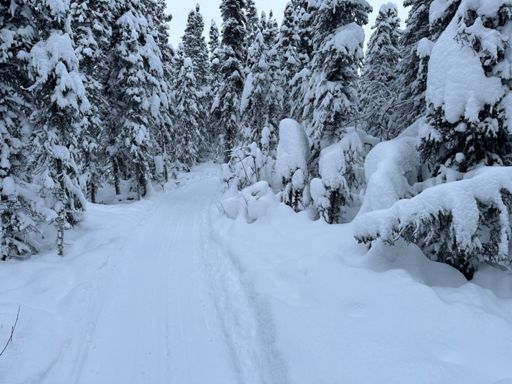 Newly groomed trail
