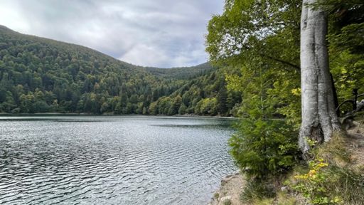 Puis se faire bien secouer sur la route forestière du Lac du Ballon (descente presque plus physique que la montée)