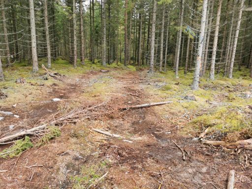 Ni ser väl att stigen går in till höger? Klart och tydligt!