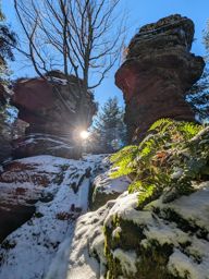 Randonnée l’après-midi