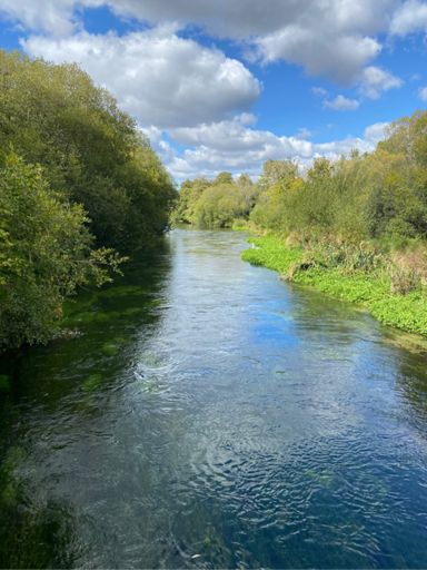 The Itchen Way was a big highlight of the route by far. It was near the end and was also flat 👍😎