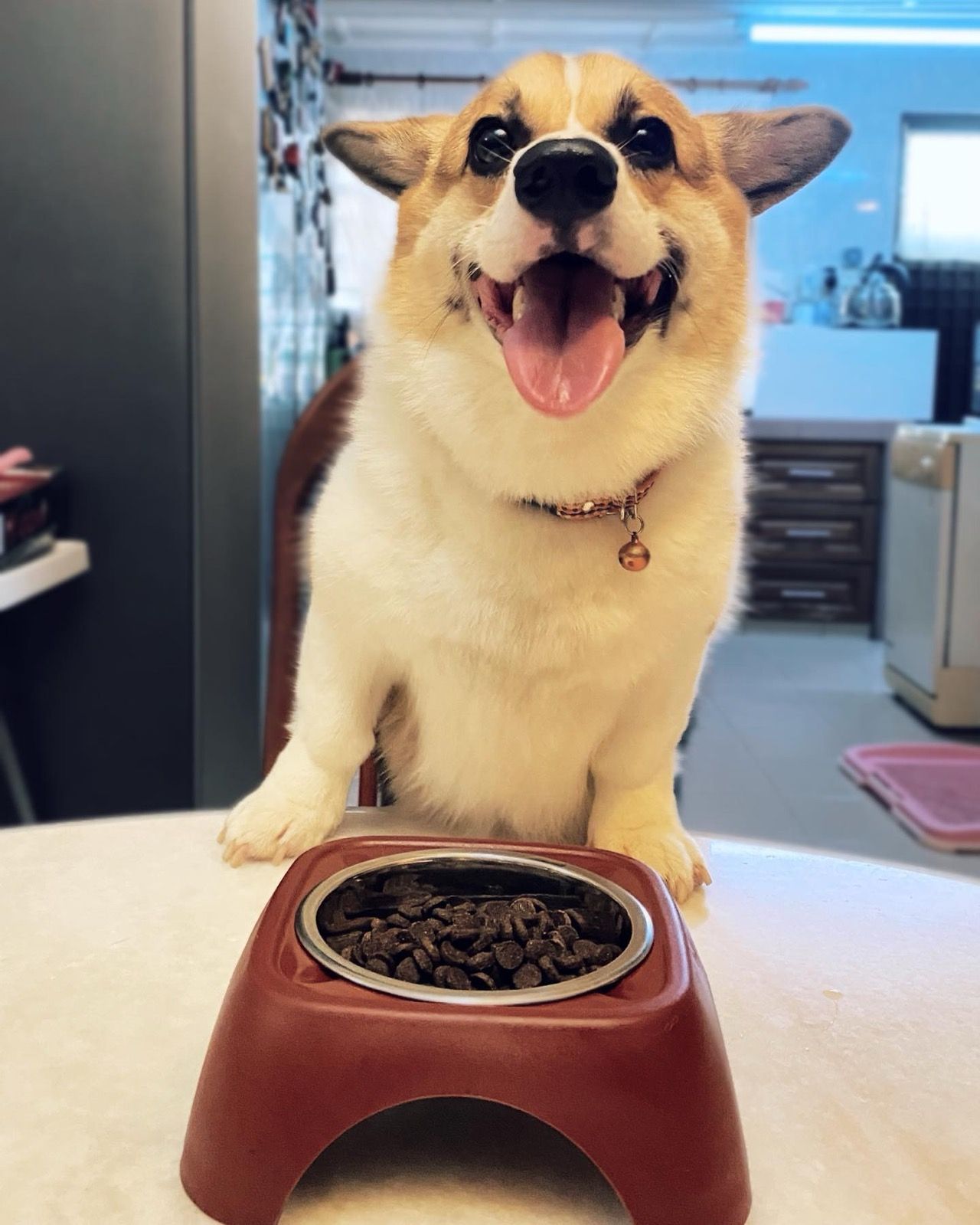 This is the photo I took yesterday, but I forgot to share it here🥲