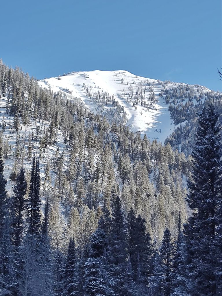 Double-click to expand Taylor | Jackson Hole — photo 1
