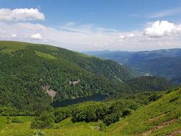 Wildenstein au Rainkopf