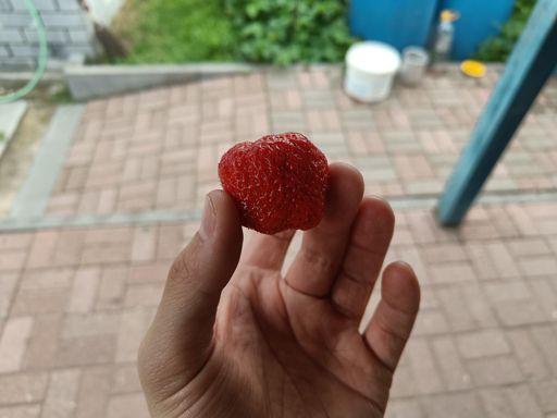 Как бы говорит - хватит бегать! Скушай домашнюю клубничку! 