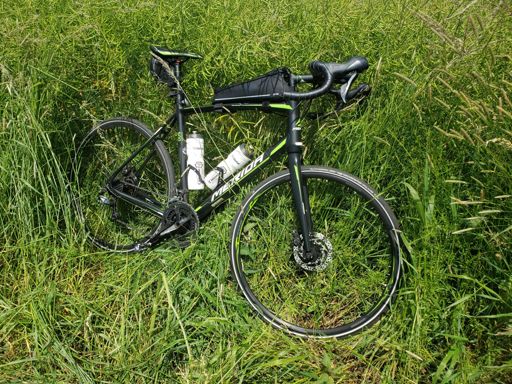 Nicht gelb und trotzdem Raps