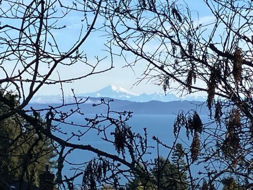 Mt. Baker on a sunny winter day