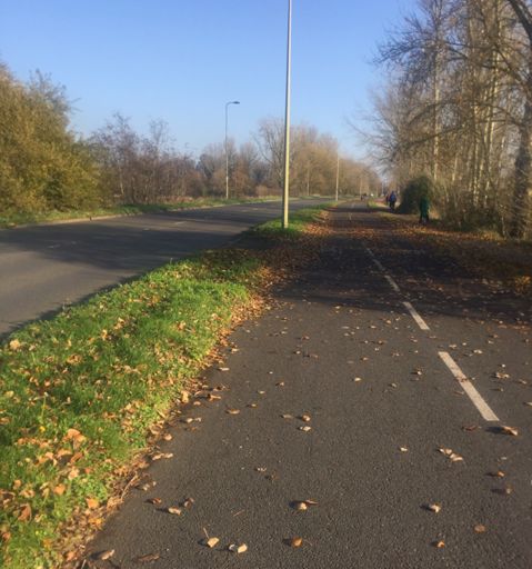 Another cycle path, this time leaving Oxford. Almost as wide as the road itself.