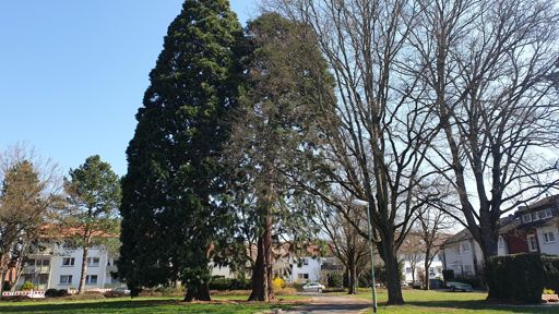 ID10683 und ID10690 Beides BMs