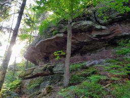 Balade photos à St Quirin