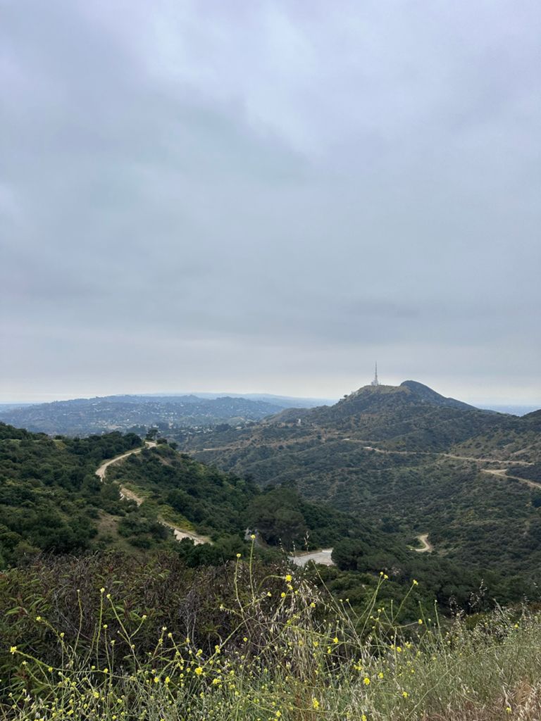 NBB run - Lake Hollywood: фото 132