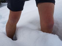 Wackenbach à la chatte pendue