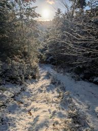 Balade dans la neigr