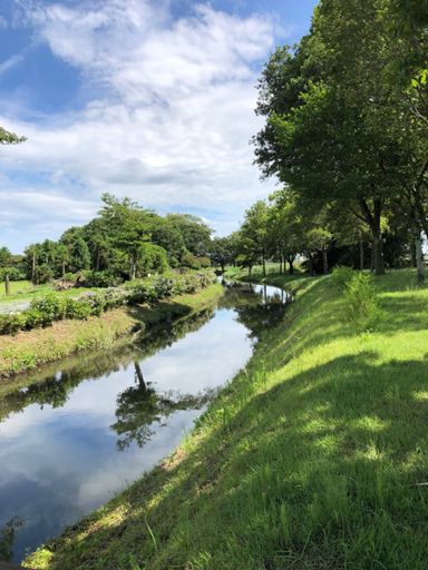 上三川町上神主