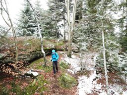 Pierre Percée Vohné