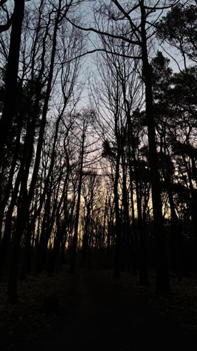 Morgendämmerung um zwölf Minuten nach um Sechs im Naturpark „Fauler See“.