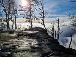 Un petit Donon avec de la neige, du soleil et une mer de nuages SVP