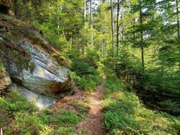 Roches de Haute-Pierre et Mère Henry