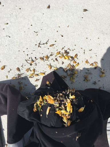 Vidage de poche 😂