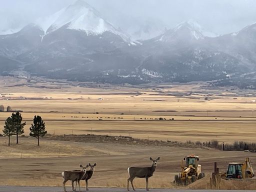 Home (before all the snow fell, be back soon)