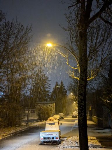 Snow in Stuggitown (Hasenberg)