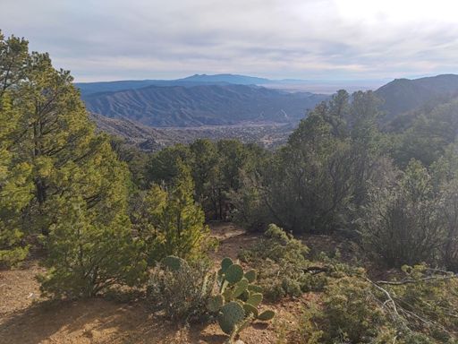 Looking at my neighborhood, 140 from saddle