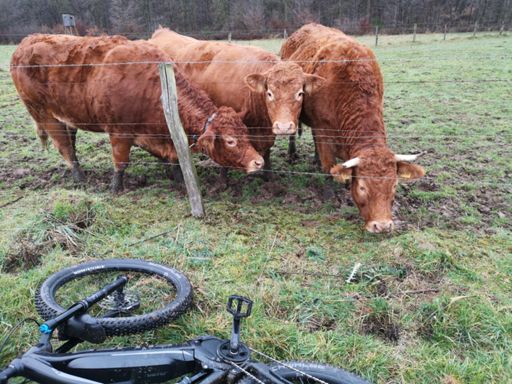 E fully = Motocross 😜🎉