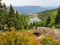 Mini trotte autour du lac Mummel