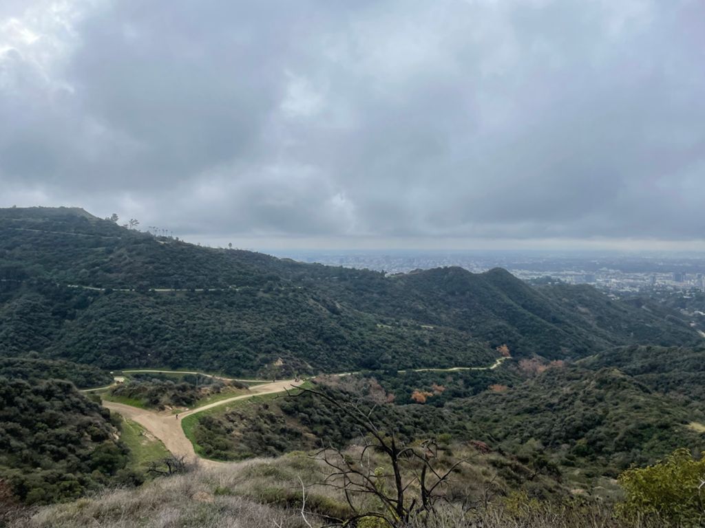 NBB run - Lake Hollywood photo 176