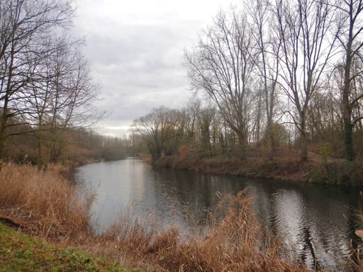 Kriephoek Oude Schelde, Gavere.