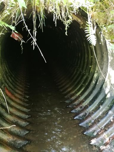 Oui.. On est passé par là :) 50m dans le noir !