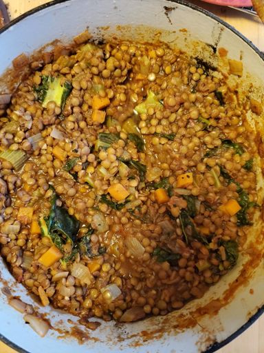 PudGy's new "hearty lentil stew"
